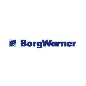 Borg logó